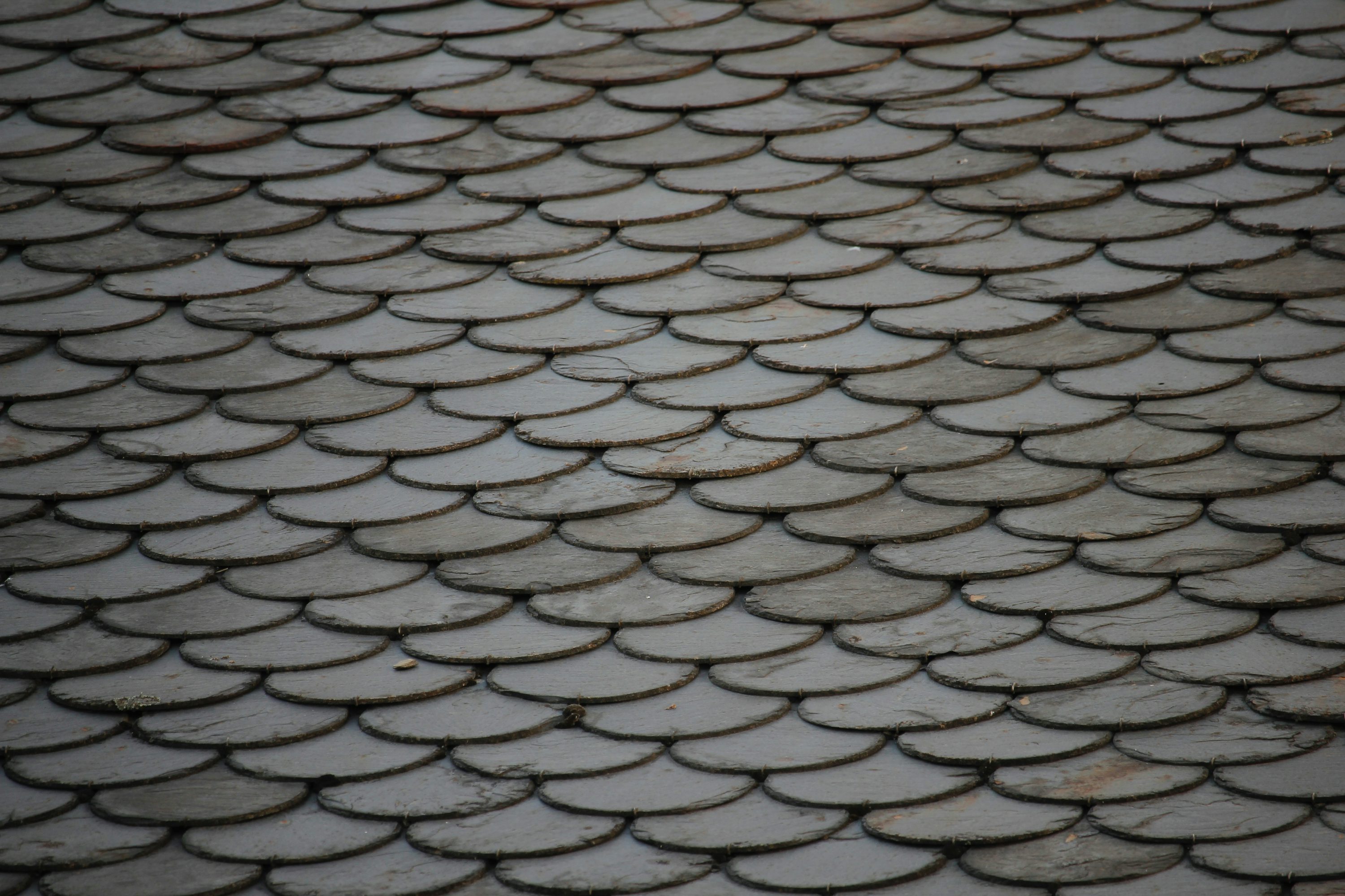 Slate tile roof close-up